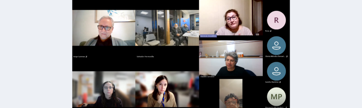 Personas conectadas a una reunión online miran a la cámara