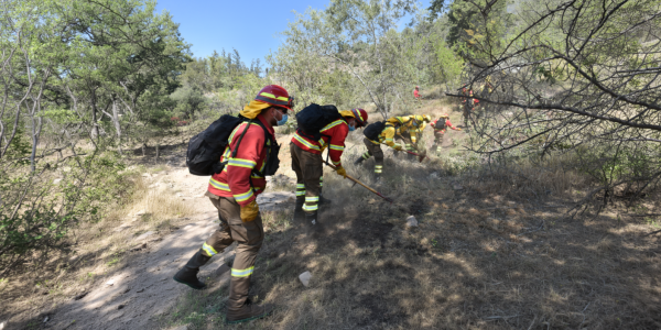 Brigadistas trabajando en cortafuegos en naturaleza abierta